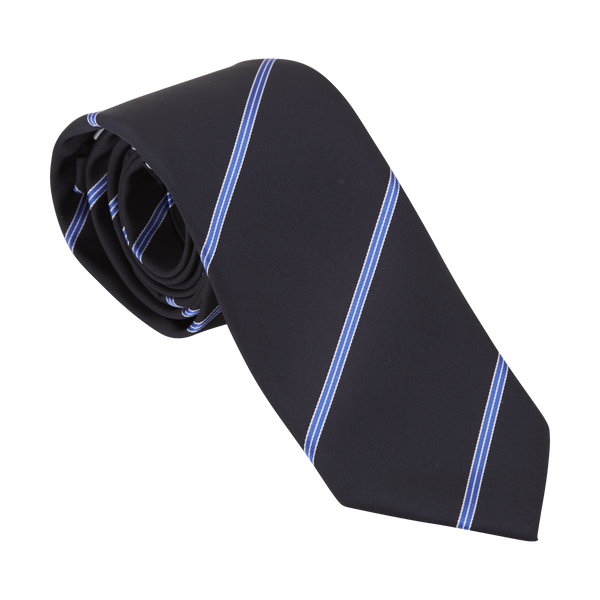 Perry House Tie